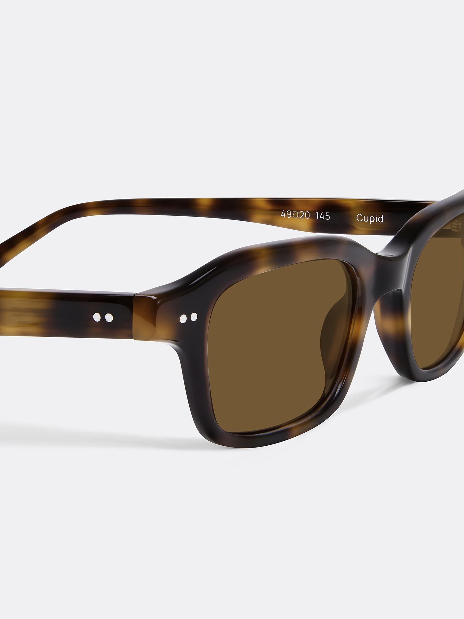 Cupid Tiger (brown)